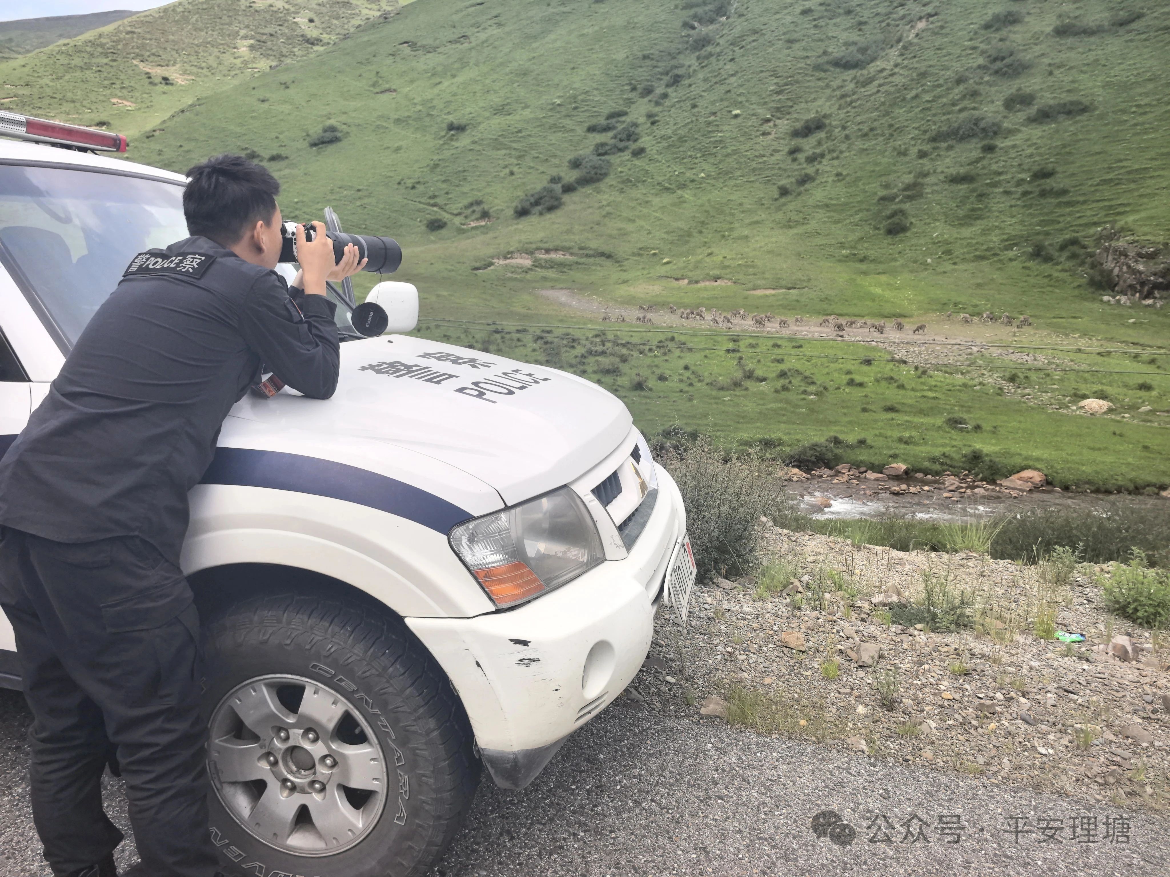 微信图片_20250808162950.jpg 微信图片_20250808162950.jpg