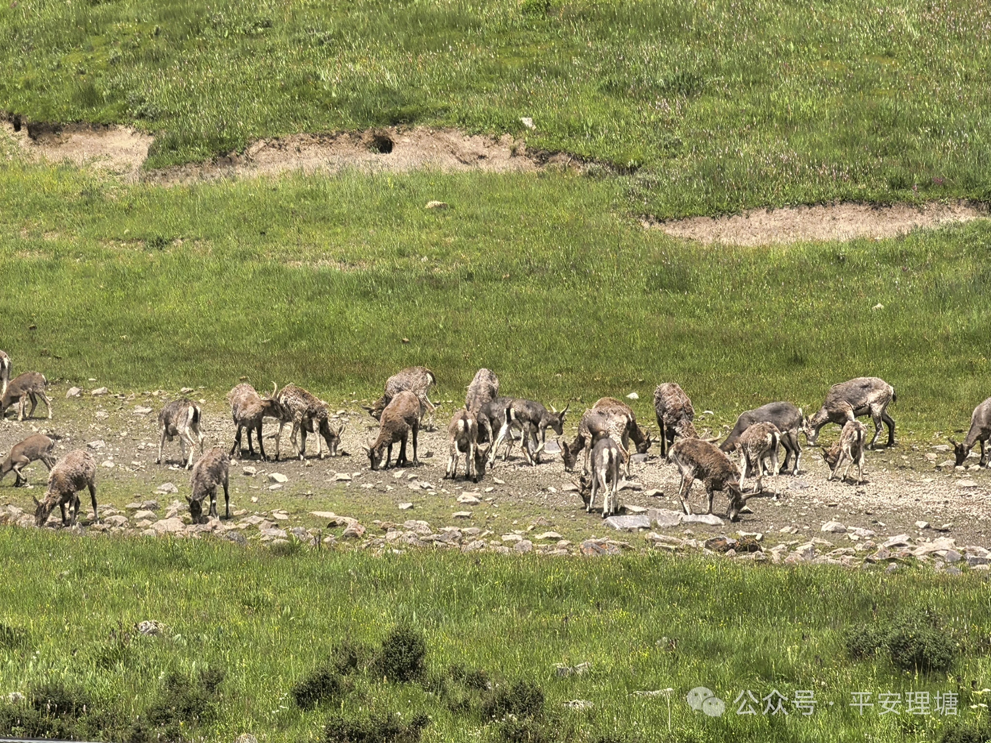 微信图片_20250808162945.jpg 微信图片_20250808162945.jpg