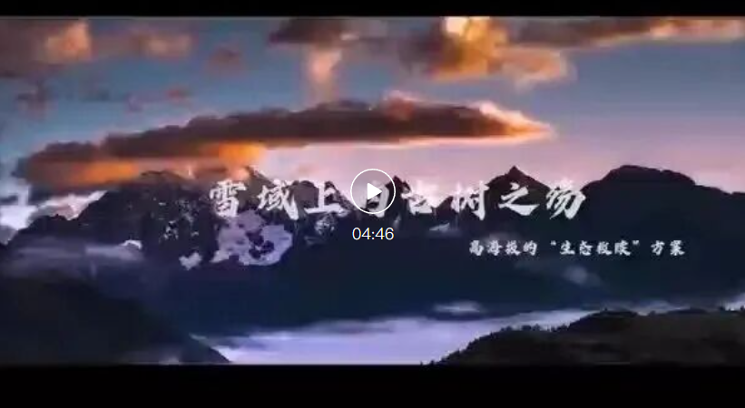 微信图片_2025-10-14_162815_160.png