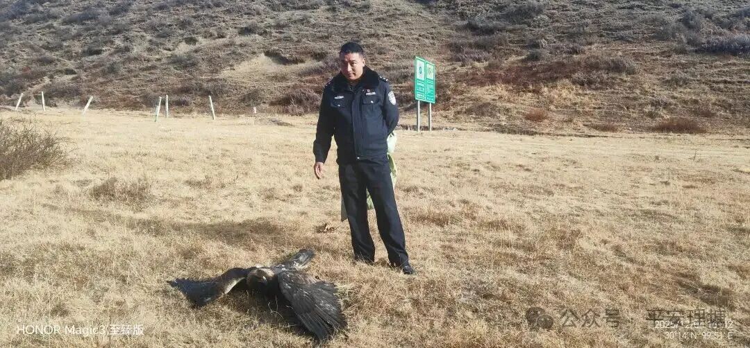 微信图片_2025-12-09_162041_829.jpg 微信图片_2025-12-09_162041_829.jpg