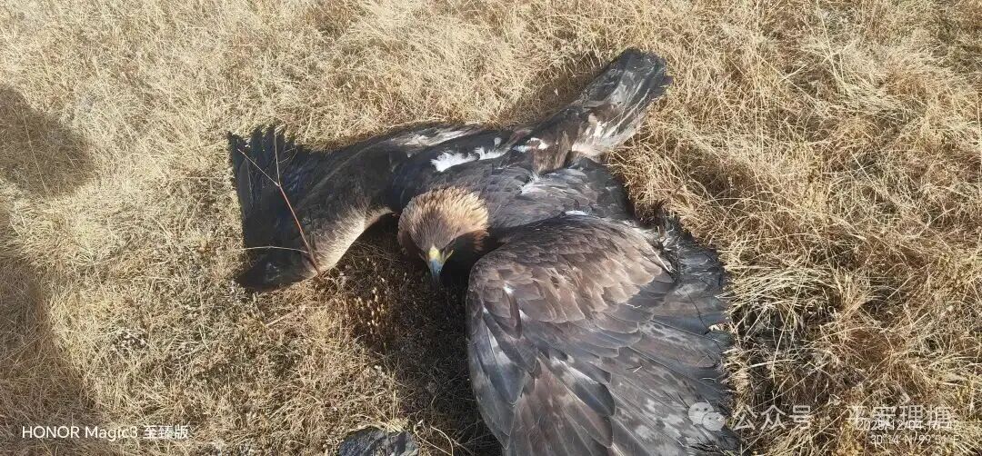 微信图片_2025-12-09_162101_418.jpg 微信图片_2025-12-09_162101_418.jpg